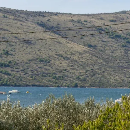 Olive Seget Vranjica